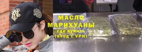 молекула духа Вяземский