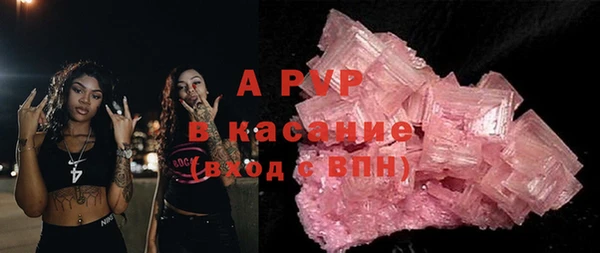 молекула духа Вяземский