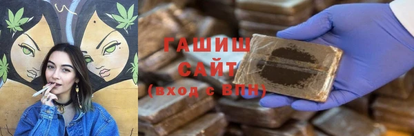 молекула духа Вяземский