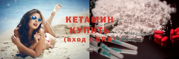 молекула духа Вяземский