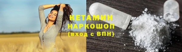 молекула духа Вяземский