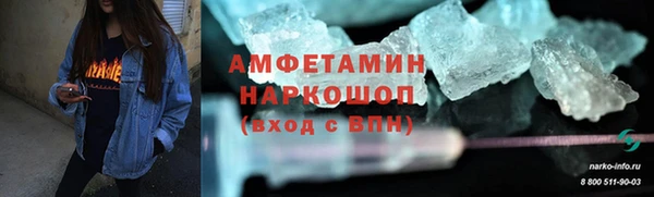 молекула духа Вяземский