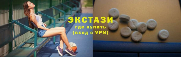 молекула духа Вяземский