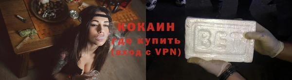 молекула духа Вяземский
