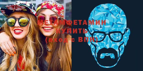 молекула духа Вяземский