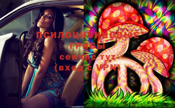 ECSTASY Вязьма