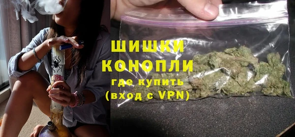 молекула духа Вяземский