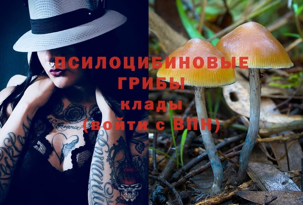 ECSTASY Вязьма