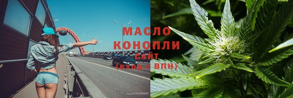 молекула духа Вяземский