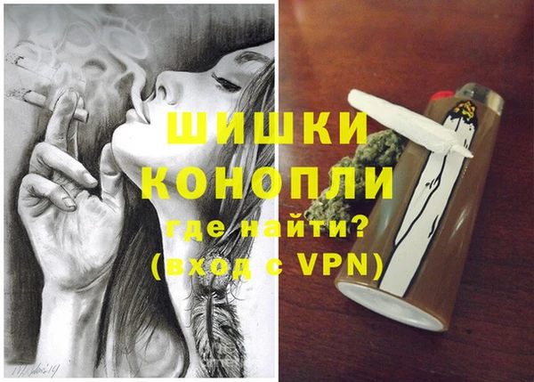 молекула духа Вяземский