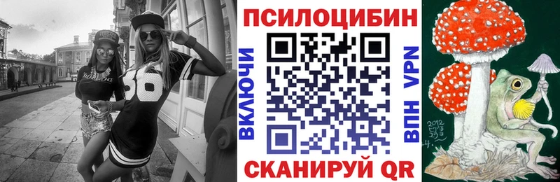 Галлюциногенные грибы Psilocybe  Невинномысск 